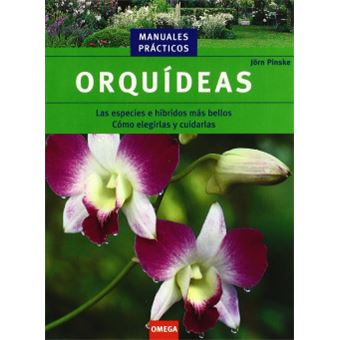 ORQUÍDEAS - 1