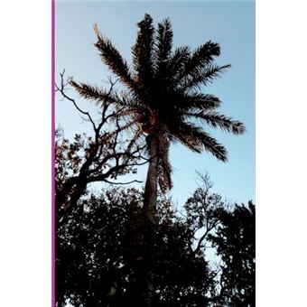 Micro Gotas De Sabedoria Em Uma Manhã Fria De Inverno. - 1