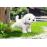 Peluche BABY born Pony Farm Puppy Doodle Azul e Rosa e Branco_2