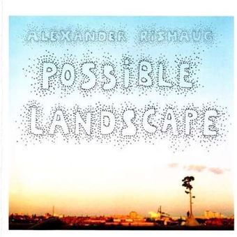 Possible Landscape - 1
