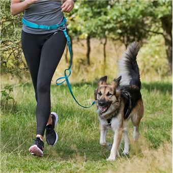 Trela para Cães/gatos TRIXIE 12765 - 1