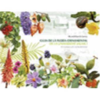 Guia de la flora ornamental de la Universitat Jaume I.: Un C - 1