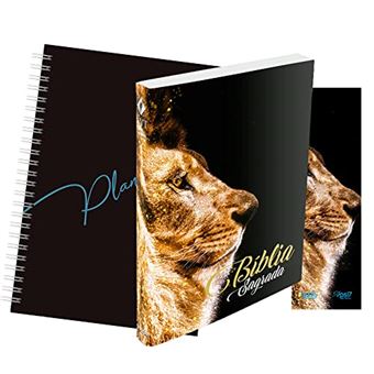 Kit Leão Ouro Planner Capa Lisa + Bíblia Nvt + Marca Página - 1