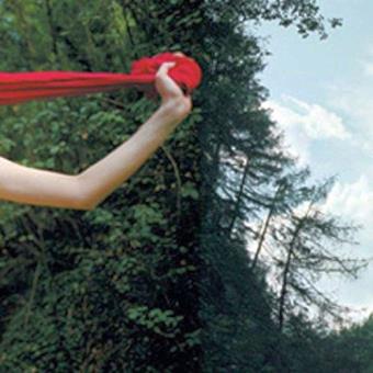 Early Day Miners-All Harm Ends Here - 1