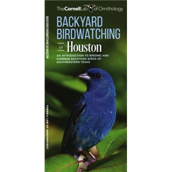 Backyard Birdwatching in Houston - 1