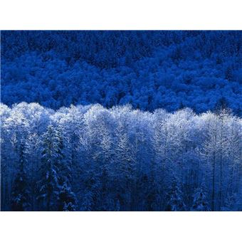 A World Fit For People Thinkers From Many Countries Address The Political, Economic, And Social Problems Of Our Time - 1