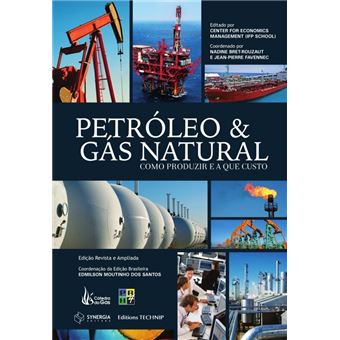 Petróleo e Gás Natural. Como Produzir e a que Custo - 1