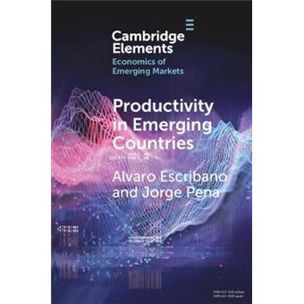 Productivity In Emerging Countries Methodology And Firmlevel Analysis Based On International Enterprise Business Surveys Elements In The Economics Of Emerging Markets - 1
