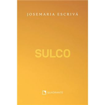 Sulco - Medium - 1