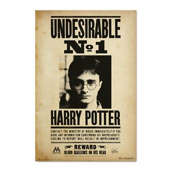 Cartaz Undesirable nº1-Harry Potter - 1