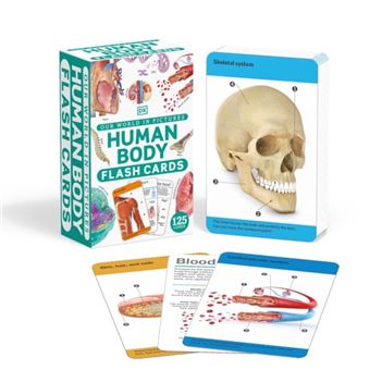 Our World In Pictures Human Body Flash Cards - 1