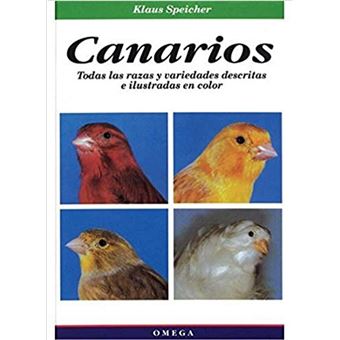 Canarios - 1