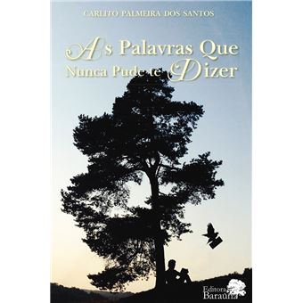 As Palavras que Nunca Pude Te Dizer - 1
