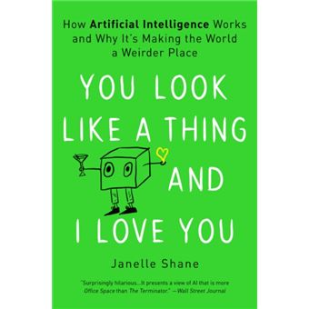 You Look Like A Thing And I Love You  How Artificial Intelligence Works And Why Its Making The World A Weirder Place - 1