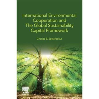 International Environmental Cooperation And The Global Sustainability Capital Framework - 1