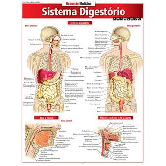 Resumão Medicina. Sistema Digestório Avançado - 1