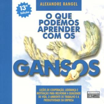 O Que Podemos Aprender Com Os Gansos - 1
