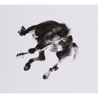 Anberlin-Dark Is The Way: Light Is A Pl - 1