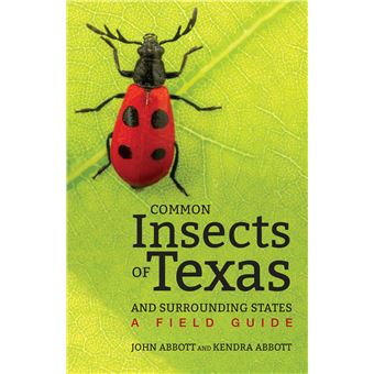 Common Insects Of Texas And Surrounding States A Field Guide Dorrie Herring Hooks - 1