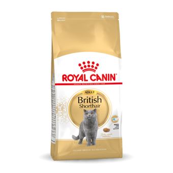 Comida seca para gatos royal canin british shorthair adult adulto 4 kg - 1