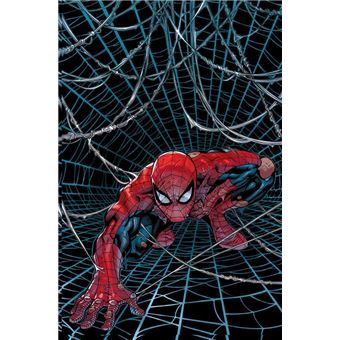 O Espetacular Homem-Aranha Vol. 20 / 64 - 1