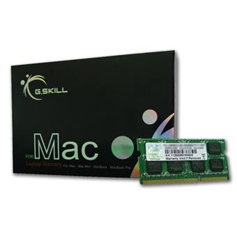 Módulo de Memória G.Skill 4GB DDR3-1600 - 1