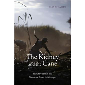The Kidney And The Cane  Planetary Health And Plantation Labor In Nicaragua - 1
