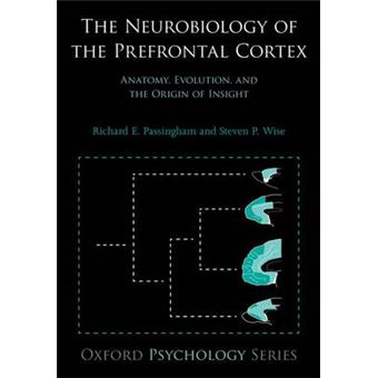 The Neurobiology of the Prefrontal Cortex - Anatomy, Evolution, and the Origin of Insight - Paperback - 2014 - 1