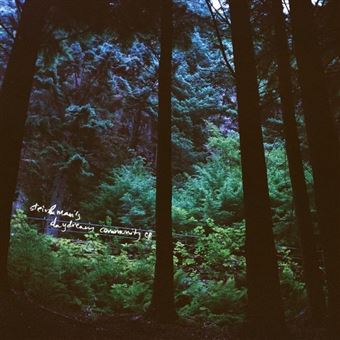 Disco de vinil Proper Stein & Mari's Daydream Community - 1