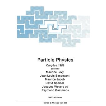 Particle Physics - Cargese 1989 - Paperback - 2012 - 1