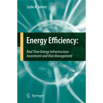 Energy Efficiency : Real Time Energy Infrastructure Investment and Risk Management - 1