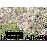 Puzzle 500 Pcs Hora de Ponta_1