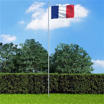 Bandeira vidaXL da França 90x150 cm - 1
