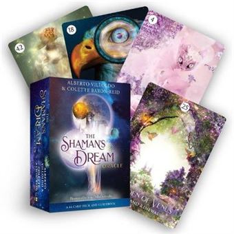 The Shaman'S Dream Oracle A 64Card Deck And Guidebook - 1