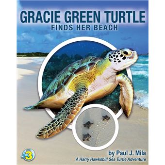 Gracie Green Turtle Finds Her Beach - 1