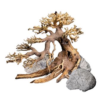 Enfeite Decorativo para Aquários Dennerle Decor Box Bonsai - 1