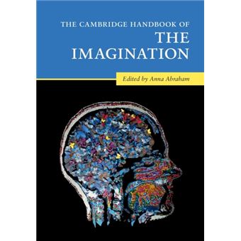 The Cambridge Handbook Of The Imagination By Cambridge University Press - 1