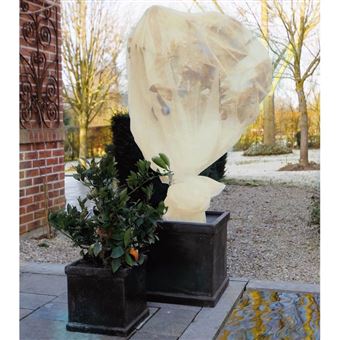 Protector de Geada Nature velo bege 2x5 m 6030094 - 1