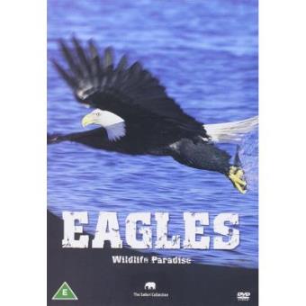 Wildlife Paradise - Eagles - 1