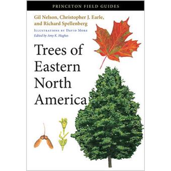 Trees of Eastern North America - Paperback - 2014 - 1
