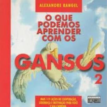 O Que Podemos Aprender Com Os Gansos 2 - 1