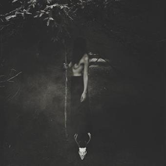 Embrace The Wretched Flesh - Colored Vinyl - Gate - 1