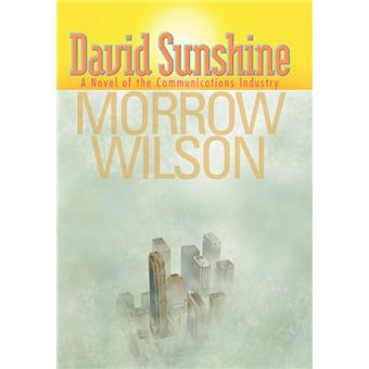 David Sunshine - A Novel of the Communications Industry - Hardback - 2012 - 1