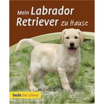 Mein Labrador Retriever Zu Hause - 1