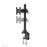 Newstar FPMA-D965 flat panel desk mount_1