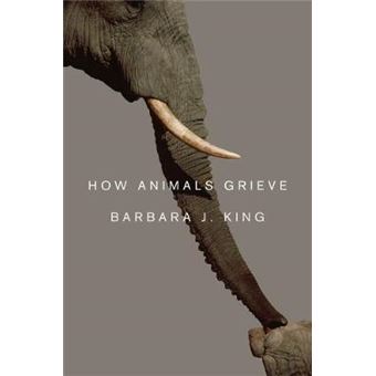 How Animals Grieve - Hardback - 2013 - 1