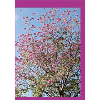 Diá(Rio) (In)Útil - 1