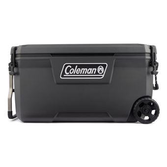 Geleira Coleman 2213849 | Cinzento - 1