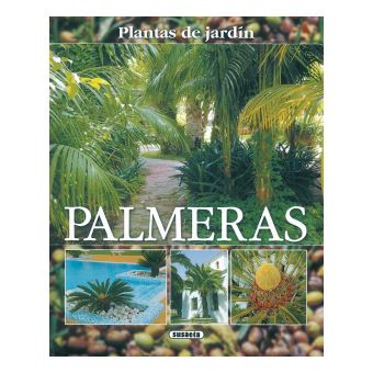 Palmeras, Plantas De Jardín - 1