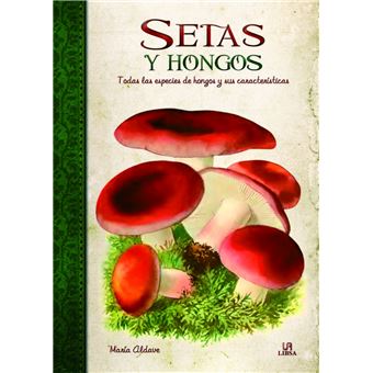 Setas Y Hongos - 1